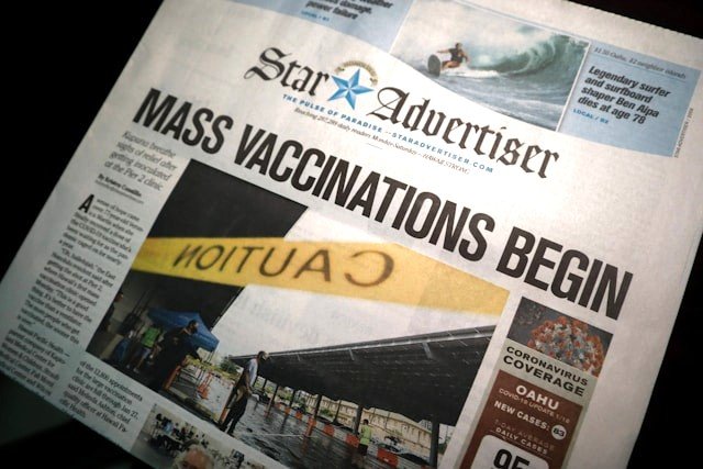 little-plant-FsO4cAZxiVk-unsplash